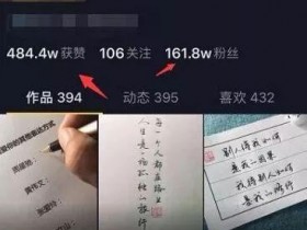 与抖音小说分销一样暴利的短视频项目