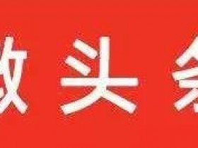 新的赚钱机会，微头条带货值得操作