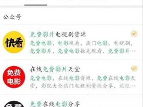 操作影视公众号项目，轻松日赚500+