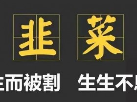 揭秘职业培训老师们的赚钱套路，一个韭菜2万利润！