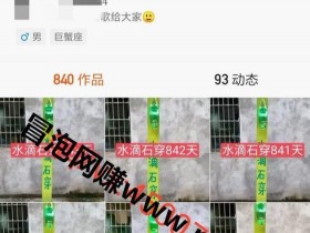 一个“傻子”都能做的项目，只要去做就有钱