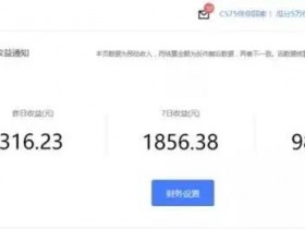 赚钱才是唯一动力，这几个项目从0到1教你怎么赚钱