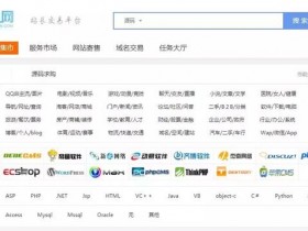 0成本倒卖源码月入5000，分享一个适合新手的傻瓜网赚项目