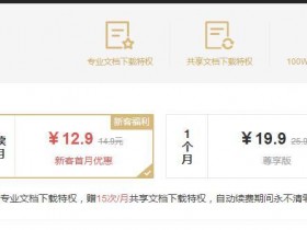适合新手操作的付费文档代下赚钱项目，0成本轻松日入100+