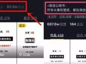 被大众忽略的冷门暴利项目，日入五百