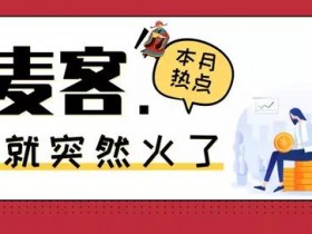 多麦客：又一个手机赚钱平台，你无法拒绝的赚钱项目