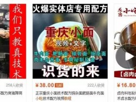 新手也能赚钱的0成本项目，一部手机操作即可，一单利润500+