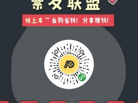 揭秘低价代购电影票项目，0投资暴力玩法项目，适合所有人