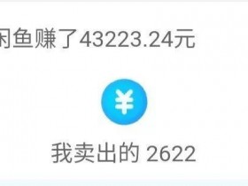 闲鱼卖货攻略，半年卖货3000件，实战技巧经验分享