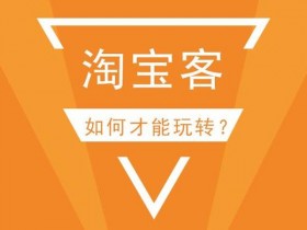 超强实操性小项目！淘客的另类玩法，店铺淘客另类玩法