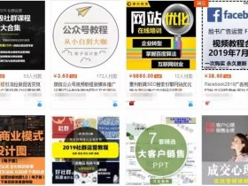 市面上利用虚拟资源月赚5000项目解密
