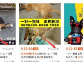 小白就可上手的虚拟赚钱项目，玩法简单赚钱速度快