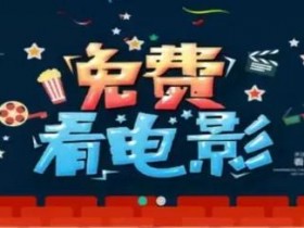 解密：另类思路用影视系统年赚20万