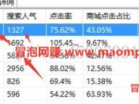 一个蓝海产品，做好了轻松月入过万