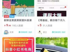 手把手教小白搭建一个月赚5000+的傻瓜式赚钱项目
